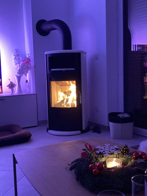 Kaminofen Hark 44 GT ecoplus Oranieburg