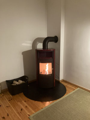Kaminofen mit Feinstaubfilter Leegebruch