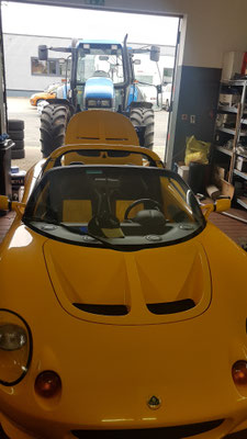 Lotus