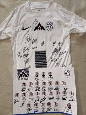 Slowenisches Nationalteam Trikot von allen Spielern signiert sowie ein Poster Nationalteam von allen Spielern siegniert
