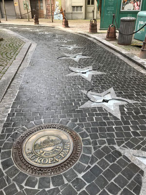 Freiburger Gartenbau Gelsomino - Stern-Ornamente - Walk of Fame - Europapark Rust