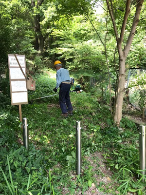 東口の草刈り