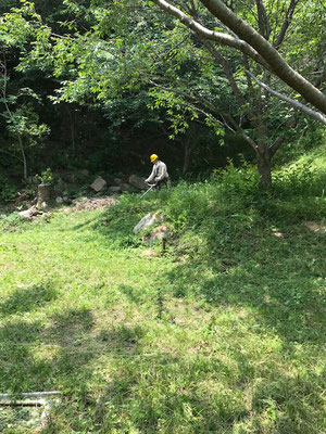 育苗地広場の草刈り
