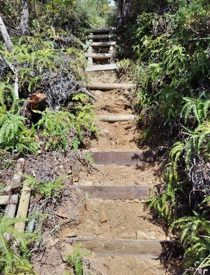 イチヤクソウの丘から行者山登山路への連絡路の損壊した下側ハシゴを階段化
