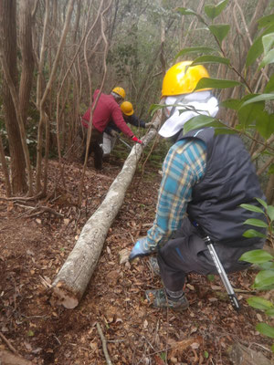 遠見の道　架かり木玉切り