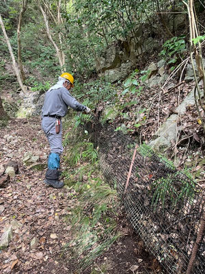 東屋～隔水亭園路山側のトリカルネット補修