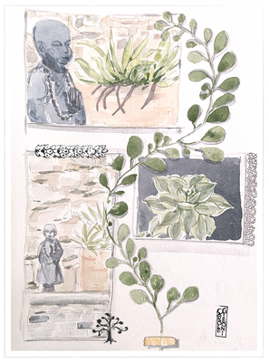 Bouddha herbier aquarelle 
