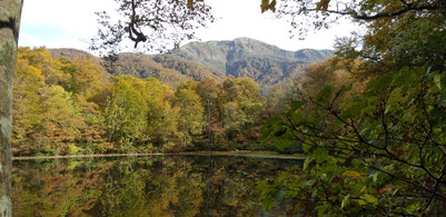 福井県大野市の登山案内のページ！