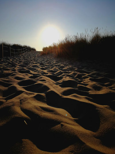 Der Weg zum Strand Le Pin Sec in Frankreich. Zahlreiche Surfer, Surfschulen/ Surfcamps tummeln sich dort am Strand, da es dort die perfekten Wellen für Anfänger gibt.