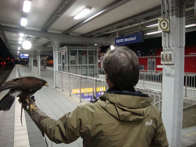 Projekt Bahnhof Hamm