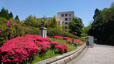 大阪大学（豊中キャンパス）（2018.4.19）