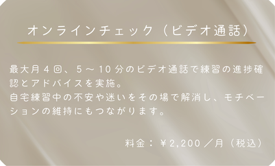 オンラインチェック（ビデオ通話）