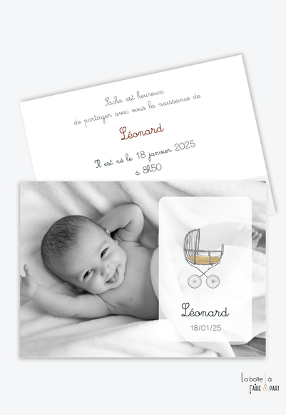 Landau naissance new arrivals