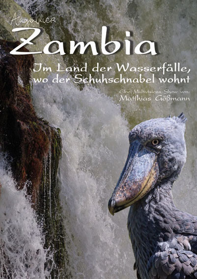 Matthias Gößmann:  Plakat zu Augenblick-Zambia