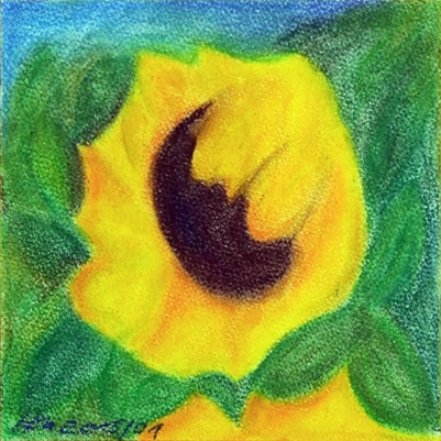 2015-01 Sonnenblume in Kreide