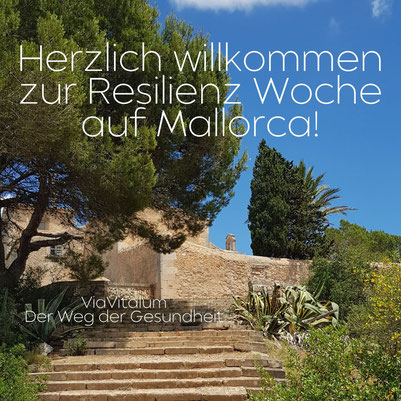 Resilienz Woche auf Mallorca - Resilienz-Training
