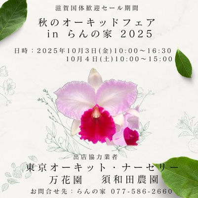 期間限定値下げ！早い者勝ち！　ＦＬＯＲＡＥ　ＪＡＰＯＮＩＣＡＥ　ＦＡＭＩＬＩＡＥ 期間限定値下げ！早い者勝ち！ FLORAE JAPONICAE