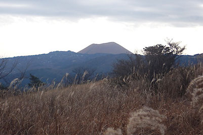 柏嶺より大室山