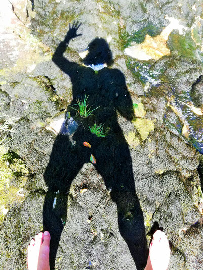 Visionssuche im Salzkammergut Günter Fellinger LEBENS-KUNST FELLINGER