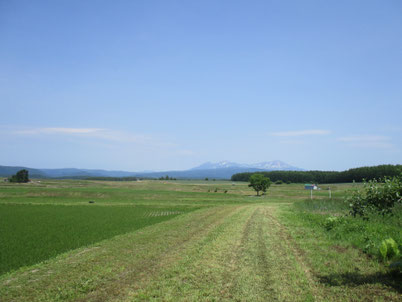 遠くの旭岳