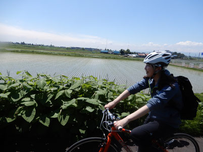 クロスバイクレンタル