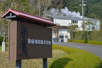 前田利右衛門　指宿酒造　芋焼酎