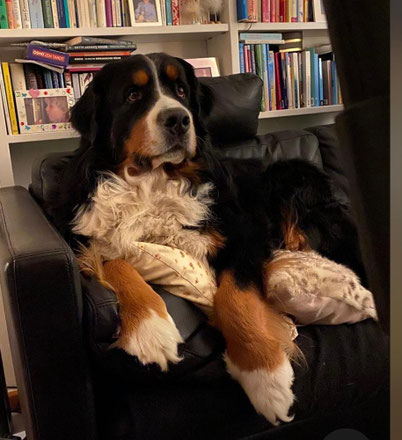 - wärend Balou (alias Odin) eher eine philosophische Ader hat.