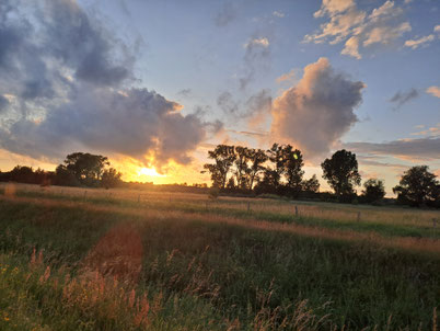  Foto: Abend im Moor, ©Lisa F. Oesterheld                       