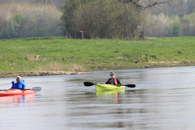 Anpaddeln auf der Weser im April 2019