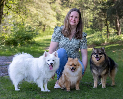 Middenslag Keeshond Kleine Keeshond