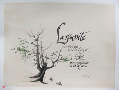 C31 - Encre et décors - 50x65  