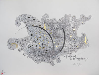 C161- 50x65 - Encre et décor 