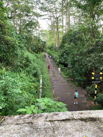 green corridor in Singapore is where the locals like to go on the weekend