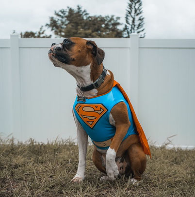 Superhero outfit