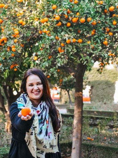 December and January are the best months to go to Malaga to eat mandarines