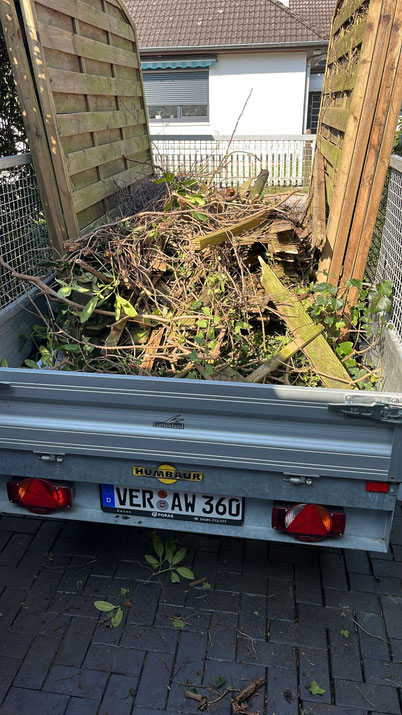 CleanTeam-MultiService-Entsorgung-Gartenabfälle