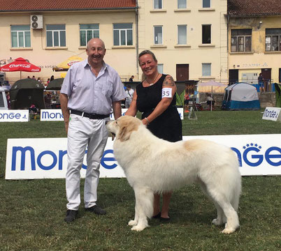 Echo de'Chien Escuda pour Garcon 