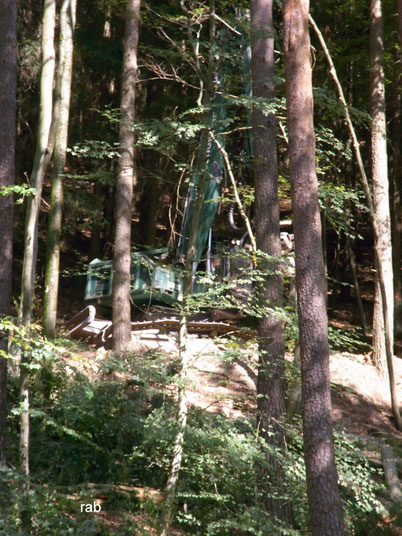 Harvester im Steilhang