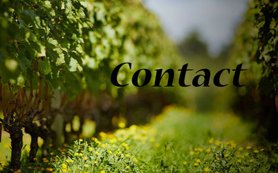 Contact VTG