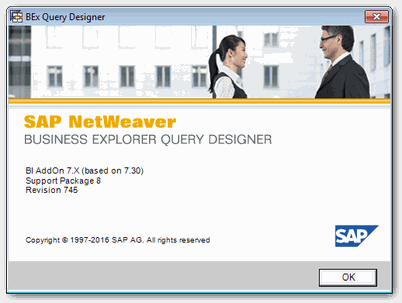 BEx Query Designer Support Package 8
