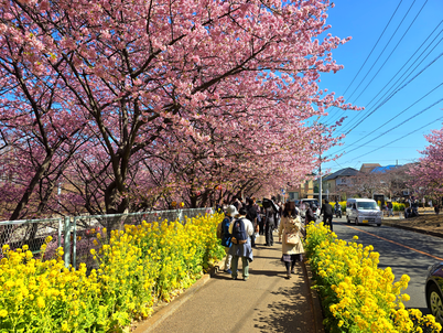 横須賀市　マークスター　訪問看護