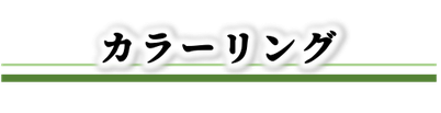 阪急武庫之荘駅,美容室,最強ヘッドスパ,マーガレット,margaret,メニュー,カラーリング, 人気, 