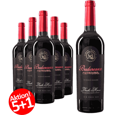 6-ER Weinpaket Budureasca Premium Feteasca Neagra (Mädchentraube) 2022 | 5 +1 GRATISAKTION