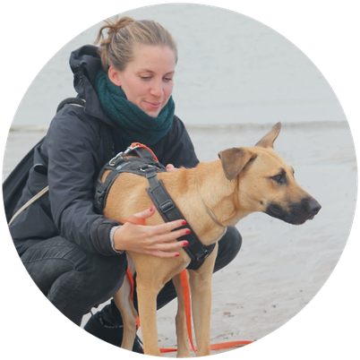 Hundetrainerin und Expertin für schwierige Hunde in Hamburg – Besondershund Verhaltensberatung - Andrea Baasch