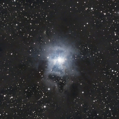 NGC7023 - Nébuleuse de l'Iris