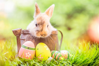 Joyeuses Pâques!