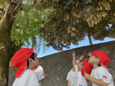 え！あれってもしかして・・