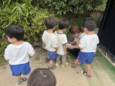 なにが あるかな?