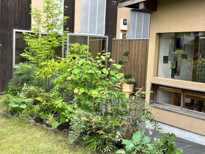 低木と多年草のローメンテなナチュラルガーデン