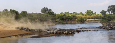 Mara River 